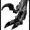 Raptor's picture